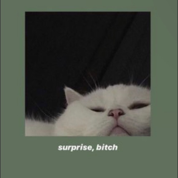 Meet your Posher, Ann marie - Picture 1 of 1